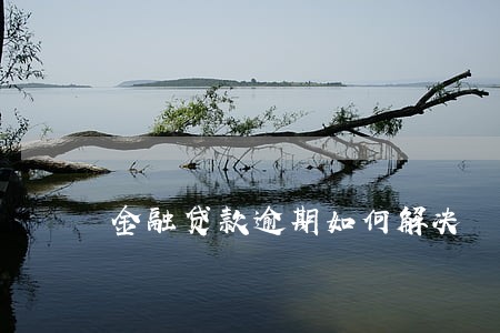 金融贷款逾期如何解决 金融贷款逾期如何解决