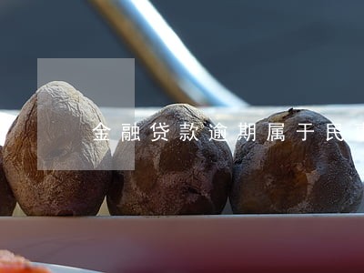 金融贷款逾期属于民事 金融贷款逾期属于民事