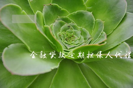 金融贷款逾期担保人代理词 金融贷款逾期担保人代理词