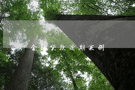 金融贷款逾期案例 金融贷款逾期案例