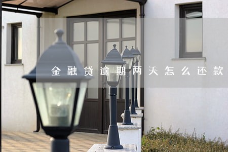 金融贷逾期两天怎么还款
