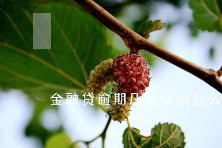 金融贷逾期几天征信怎么消除 金融贷逾期几天征信怎么消除
