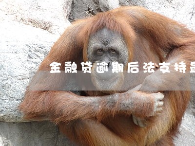 金融贷逾期后法支持最高利息多少 金融贷逾期后法支持最高利息多少