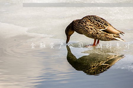 金融资产公司逾期利息计算 金融资产公司逾期利息计算