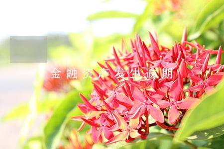 金融资产发生逾期 金融资产发生逾期