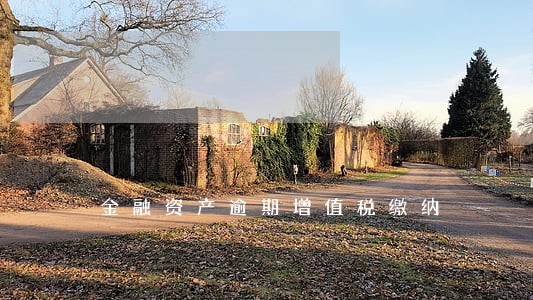 金融资产逾期增值税缴纳