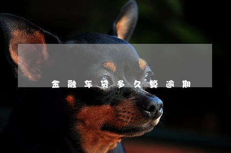 金融车贷多久算逾期 金融车贷多久算逾期