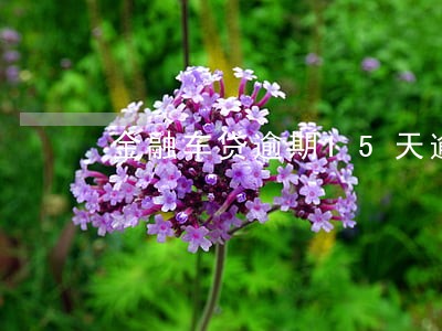 金融车贷逾期15天逾期滞纳金