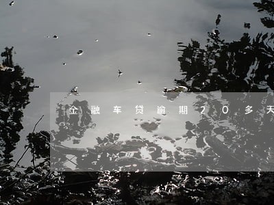 金融车贷逾期20多天 金融车贷逾期20多天