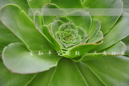 金融车贷逾期一天有什么影响吗 金融车贷逾期一天有什么影响吗