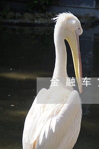金融车贷逾期一次付清怎么联系 金融车贷逾期一次付清怎么联系