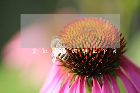 金融车贷逾期三个月 金融车贷逾期三个月