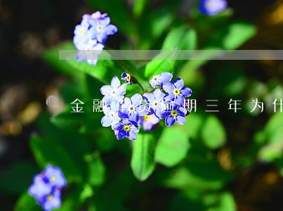 金融车贷逾期三年为什么没事 金融车贷逾期三年为什么没事