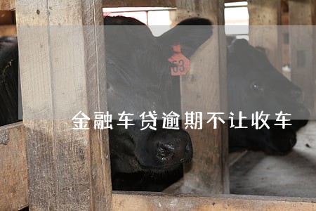 金融车贷逾期不让收车