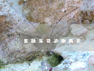 金融车贷逾期两天 金融车贷逾期两天