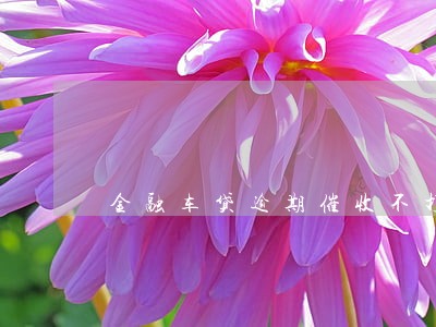 金融车贷逾期催收不打电话了 金融车贷逾期催收不打电话了