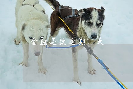 金融还款逾期1天 金融还款逾期1天