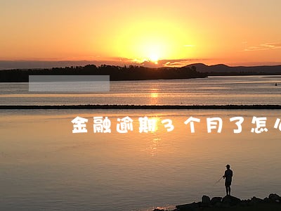 金融逾期3个月了怎么办 金融逾期3个月了怎么办
