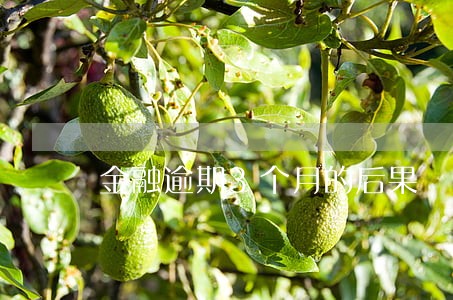 金融逾期3个月的后果 金融逾期3个月的后果