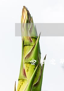 金融逾期三次会怎样 金融逾期三次会怎样