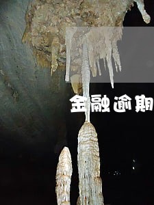 金融逾期不良记录