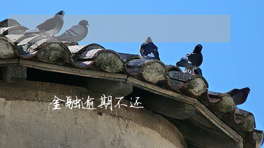 金融逾期不还 金融逾期不还
