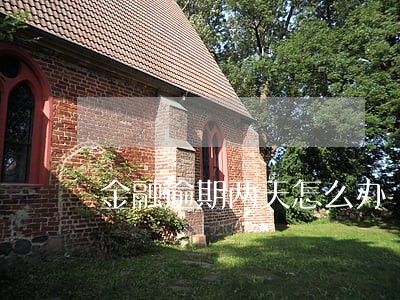 金融逾期两天怎么办 金融逾期两天怎么办