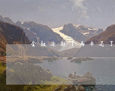 金融逾期了两年还了 金融逾期了两年还了