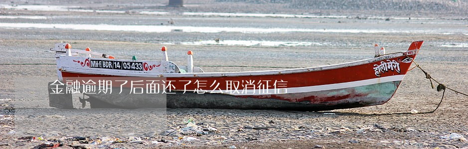 金融逾期了后面还了怎么取消征信 金融逾期了后面还了怎么取消征信