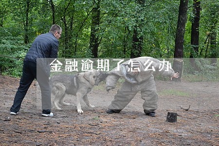 金融逾期了怎么办