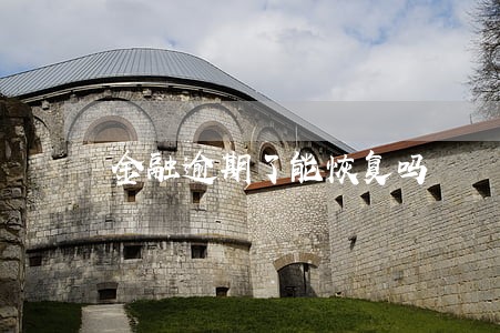 金融逾期了能恢复吗