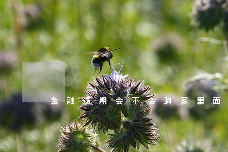 金融逾期会不会到家里面