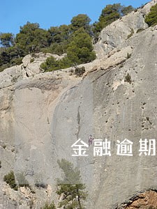 金融逾期会有什么后果