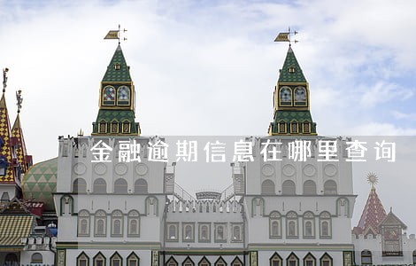 金融逾期信息在哪里查询