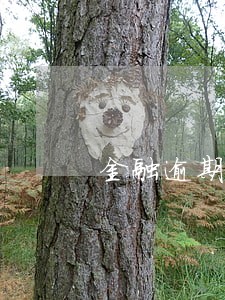 金融逾期借款利息