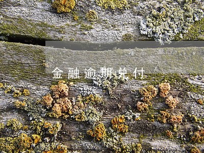 金融逾期兑付 金融逾期兑付