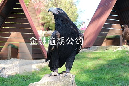 金融逾期公约