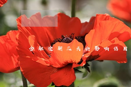 金融逾期几天会影响信用卡吗 金融逾期几天会影响信用卡吗