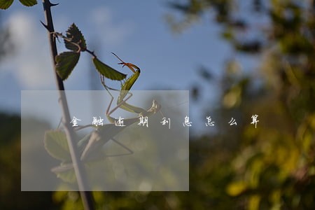 金融逾期利息怎么算