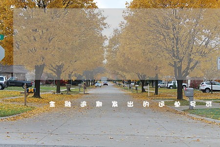 金融逾期发出的运单号可信吗