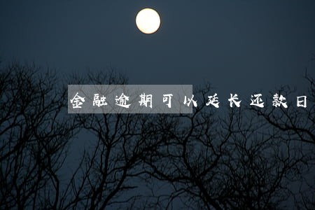 金融逾期可以延长还款日吗