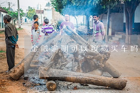 金融逾期可以按揭买车吗