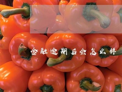 金融逾期后会怎么样