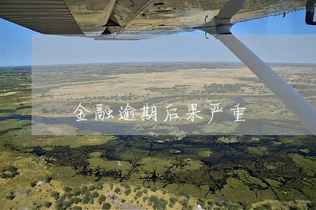金融逾期后果严重