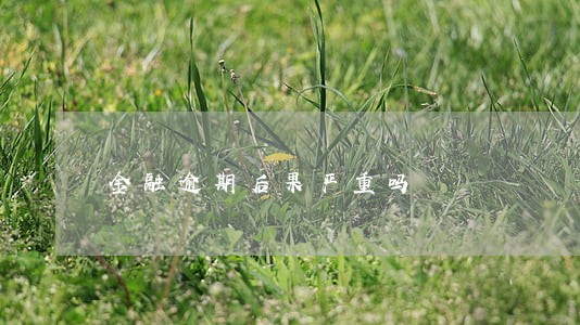 金融逾期后果严重吗