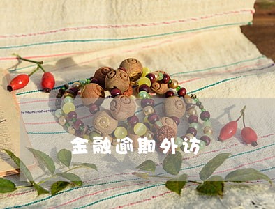 金融逾期外访