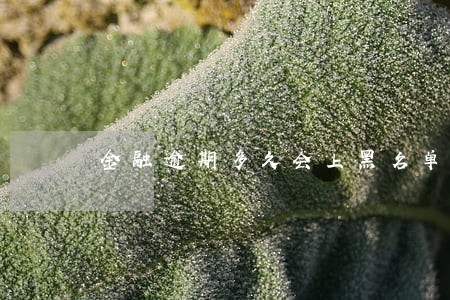 金融逾期多久会上黑名单