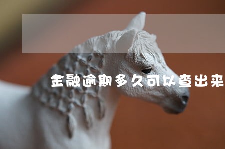 金融逾期多久可以查出来