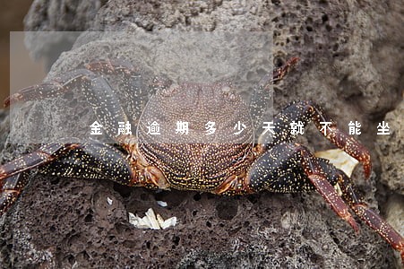 金融逾期多少天就不能坐飞机