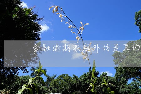 金融逾期家庭外访是真的吗